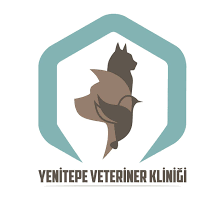 yenitepe veteriner klinigi