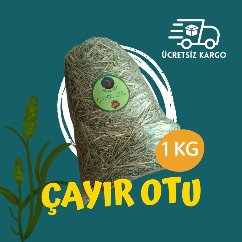 1KG ÇAYIR OTU