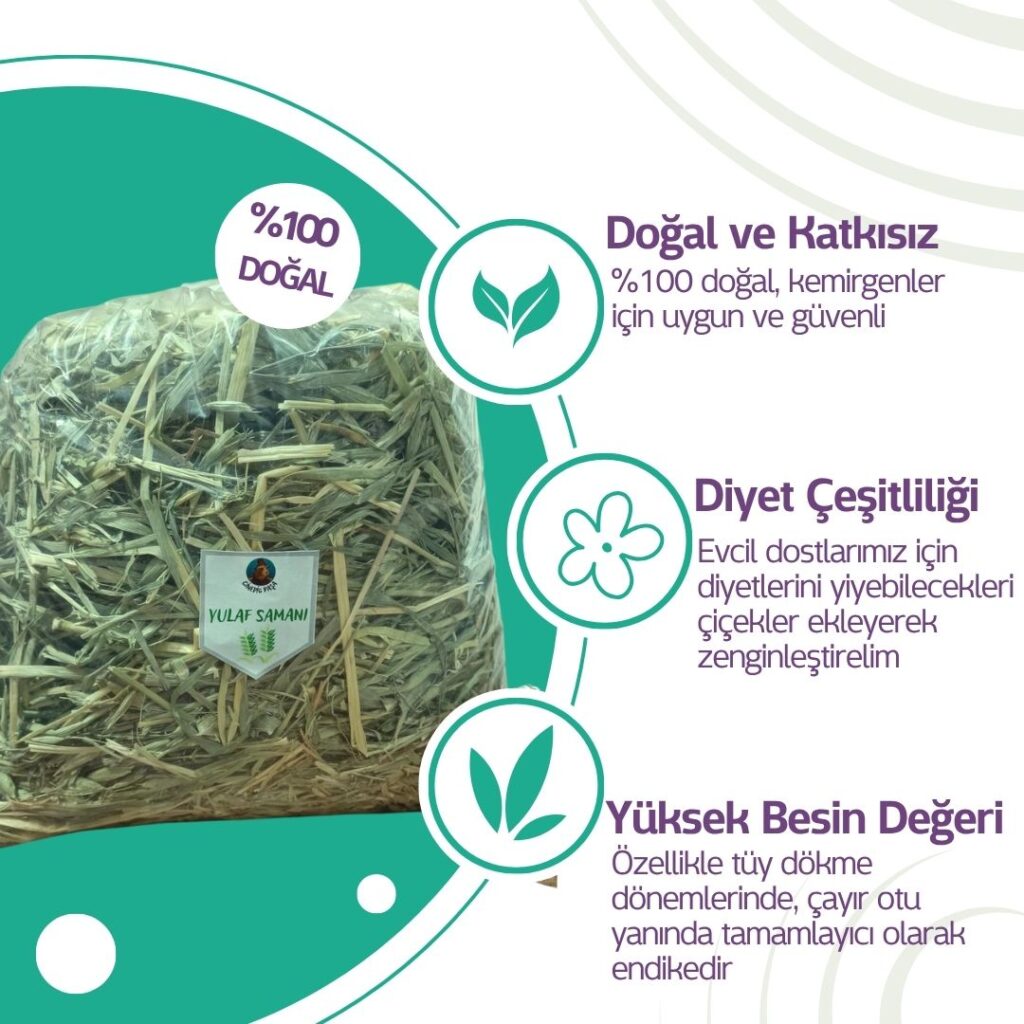 Yulaf Samanı