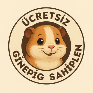 Ücretsiz Ginepig Sahiplen