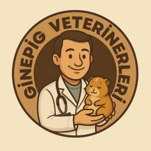 Ginepig Veterinerleri